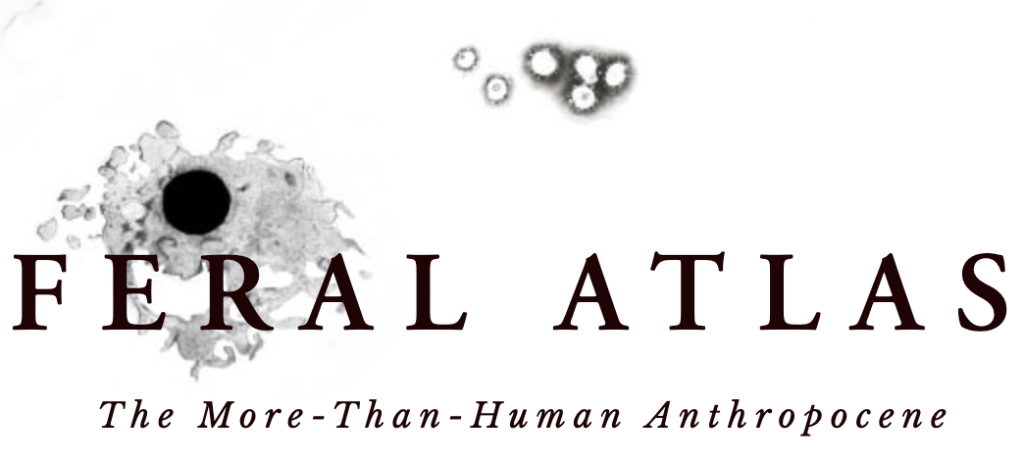 Feral Atlas, a new website on ecological worlds